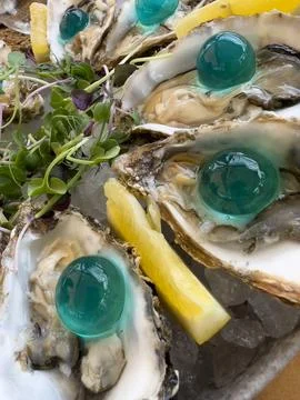 Oysters with gin bubbles Stock Photos