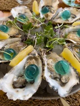 Oysters with gin bubbles Stock Photos