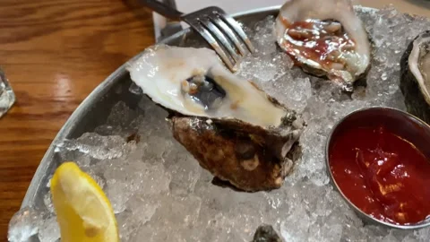 Oysters on the half shell with ice Vidéo 164054872