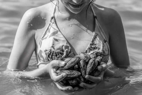 Oysters in the hand Stock Photos