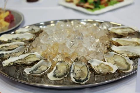 Oysters with ice cubes on the big silver or metal round plate Stock Photos