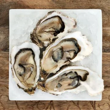 Oysters on Ice Stock Photos