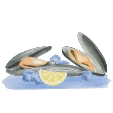 Oysters with open and closed shells surrounded by ice cubes and lemon. Seafoo Stock Illustration