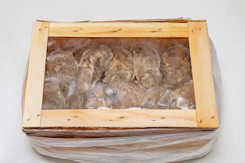 Oysters Package Box Stock Photos