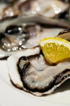Oysters Stock Photos