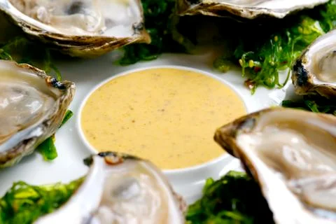 Oysters Stock Photos