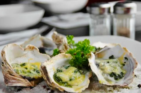 Oysters Stock Photos