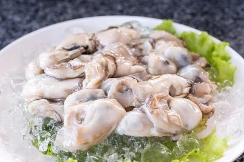 Oysters Stock Photos