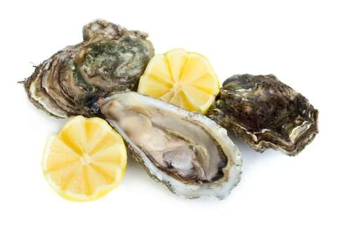 Oysters Stock Photos