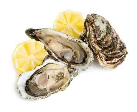 Oysters Stock Photos