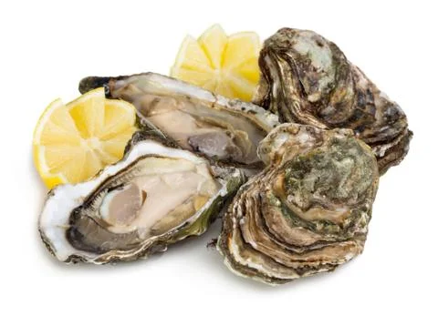 Oysters Stock Photos