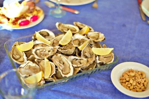 Oysters Fotos de archivo
