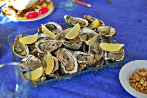 Oysters Stock Photos