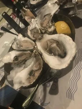Oysters Stock Photos