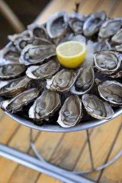 Oysters Stock Photos