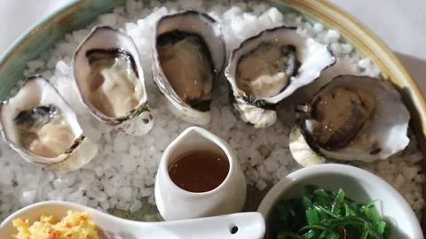 Oysters on a Plate Stock Footage 229457615