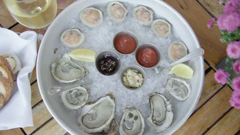 Oysters on Platter Stockbeeldmateriaal 77397020