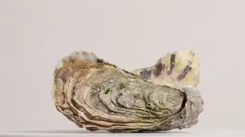 Oysters rotating around in the kitchen Video stock 249942422