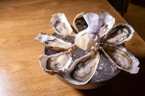 Oysters, round set up with ice base Stock Photos