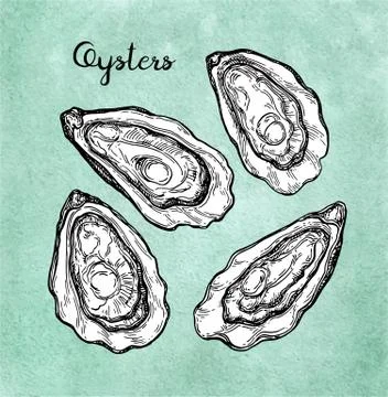 Oysters set on old paper Stock Illustration