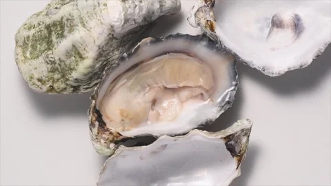 Oysters shell set close up rotating, open french oyster Fine de Claire over grey 動画素材 280936464