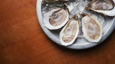 Oysters on a silver plate Stock Footage 201895049