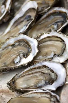 Oysters on a stall Stock Photos