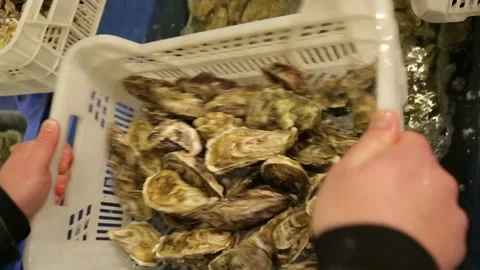 Oysters in the store Stock Footage 146657026
