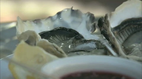 Oysters in their shells Stock Footage 35796759