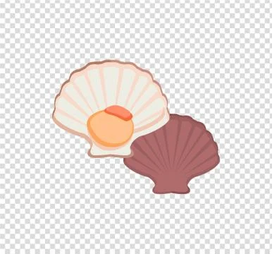 Oysters Vector Illustration Stock Illustration