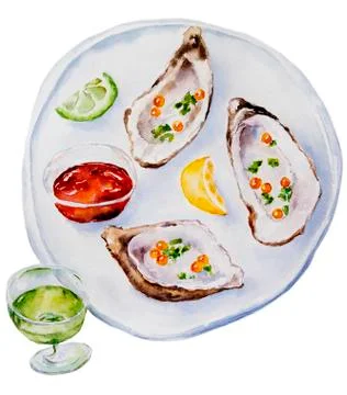 Oysters. Watercolor illustration on white background Stock Illustration