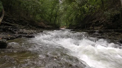 Ozark Forest Creek In the Spring Video stock 28433068