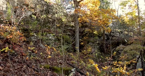 Ozark Mountains 2020 fall colors Stock Footage 142846405