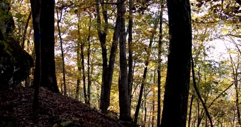 Ozark mountains beautiful fall colors Stock Footage 142846245