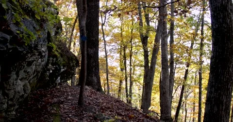 Ozark mountains beautiful fall colors Stock Footage 142846298