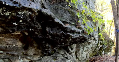 Ozark Mountains Devils Backbone natural area fall colors Stock Footage 142846324