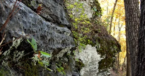 Ozark Mountains Devils Backbone natural area fall colors Stock Footage 142846335