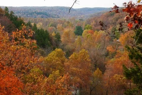 Ozarks forest in fall Stock Photos