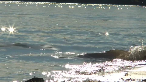 Озеро 库存影片 84237786