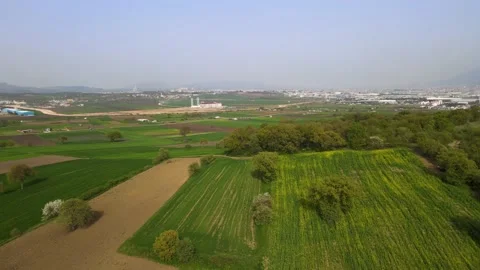 Ozluce-1-farm Vídeo Stock 186002983