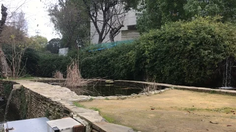 OZUG0893 Stock Footage 101437597