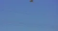 P-51 Mustang does a barrel roll. HD Footage