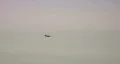 P-51 Mustang does a fly by. HD Footage