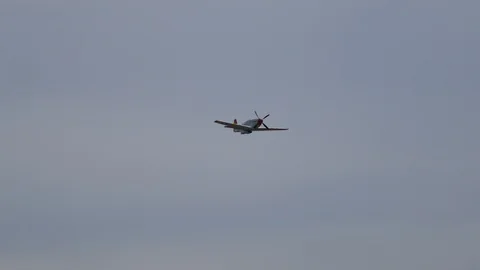 P-51 Mustang performs at the 2019 Fort Wayne Airshow. Stock Footage 111594165