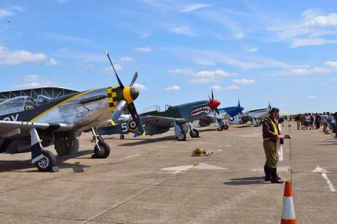 P-51D Line-up Stockfoto's