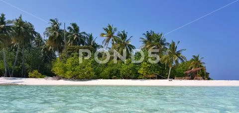 P00650 Maldives beautiful white sandy beach background with palm trees on sunny Stock Photos