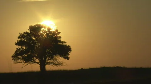 P00662 Time Lapse of Sunrise on Prairie Stock Footage
