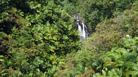 P1000002 Stock Footage 94237497