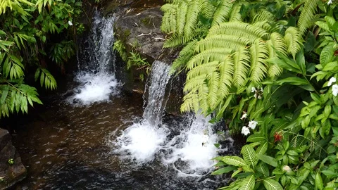 P1000022 Stock Footage 94237736