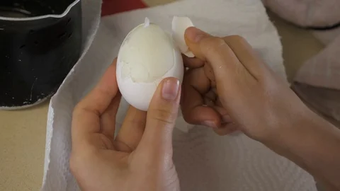 P1000260 Stock Footage 118202945